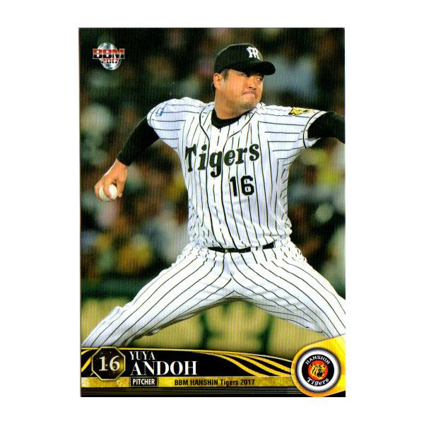 BBM2017 _^CK[X M[J[h No.T06 D