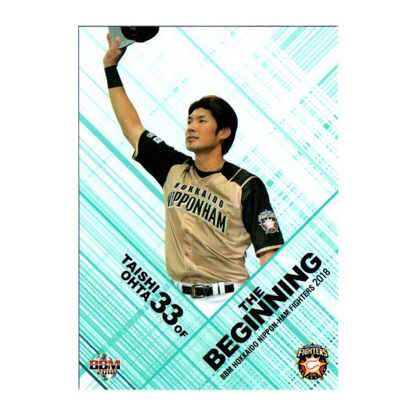 BBM2018 kC{nt@C^[Y M[J[h No.F78 c׎