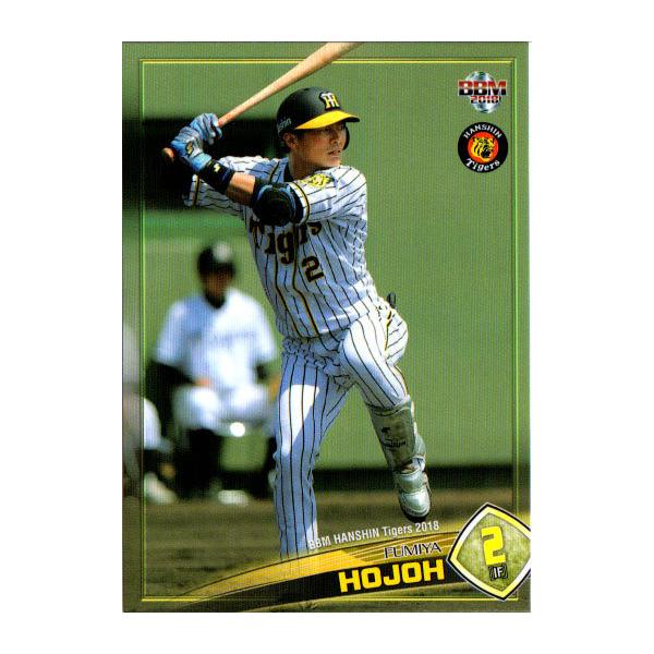 BBM2018 _^CK[X M[J[h No.T46 kj