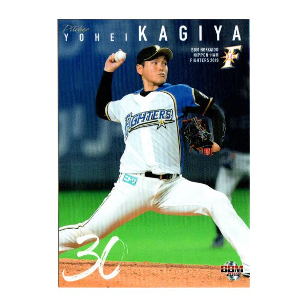 BBM2019 kC{nt@C^[Y M[J[h No.F15 Jz