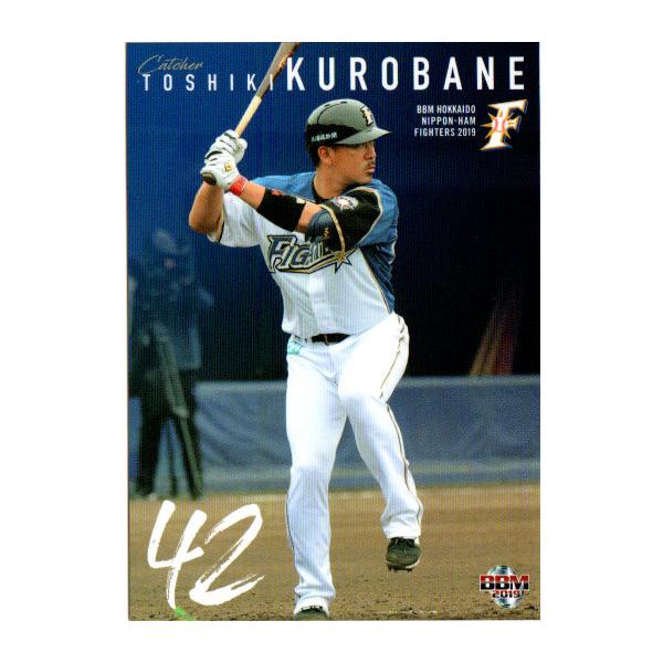 BBM2019 kC{nt@C^[Y M[J[h No.F40 HK