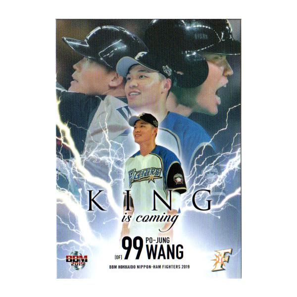 BBM2019 kC{nt@C^[Y M[J[h No.F73 Z