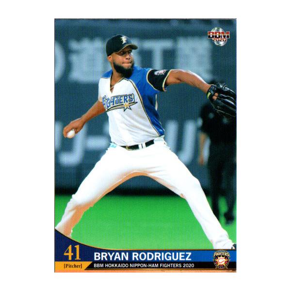 BBM2020 kC{nt@C^[Y M[J[h No.F23 hQX