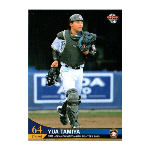 BBM2020 kC{nt@C^[Y M[J[h No.F41 c{T