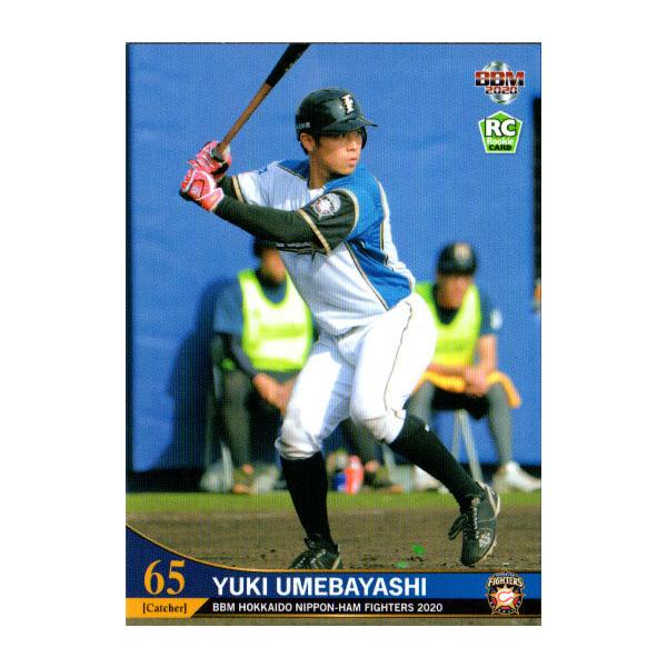 BBM2020 kC{nt@C^[Y M[J[h([L[J[h) No.F42 ~їDM