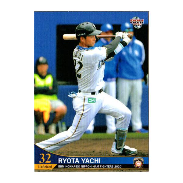 BBM2020 kC{nt@C^[Y M[J[h No.F50 J