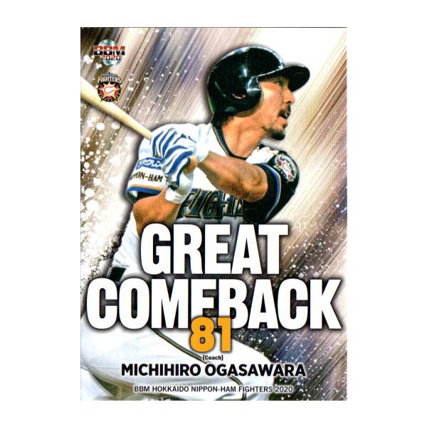 BBM2020 kC{nt@C^[Y M[J[h No.F80 }