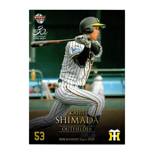 BBM2020 _^CK[X M[J[h No.T66 cC