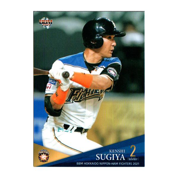 BBM2021 kC{nt@C^[Y M[J[h No.F39 Jm