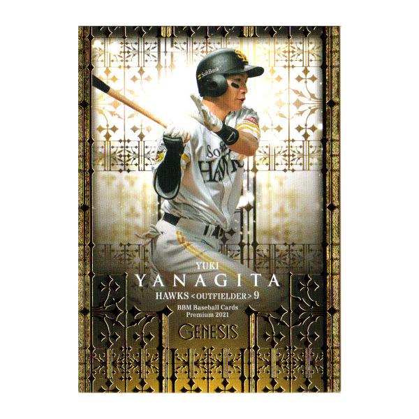 cardya2_zb2021-ge-r009