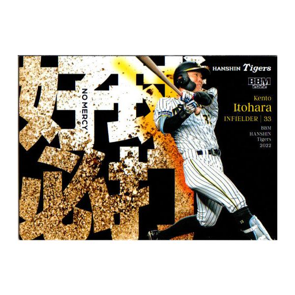 BBM2022 _^CK[X M[J[h No.T79 l