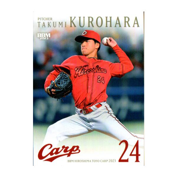 cardya2_zb2023-c-r13