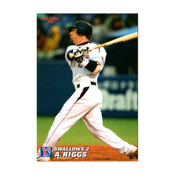 カルビープロ野球カード カルビー2006 プロ野球チップス 第三弾 レギュラーカード No.266