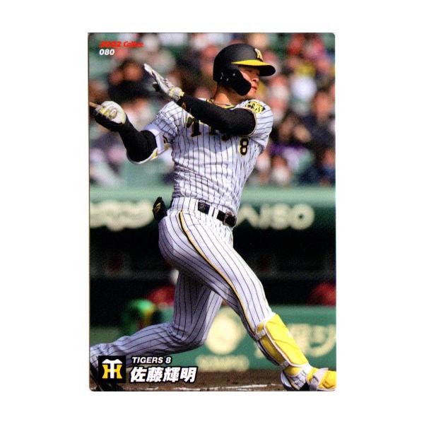 659枚セット◆プロ野球チップスカード2022年第2弾レギュラーチェック 659枚セット◇プロ野球チップスカード2022年第2弾レギュラーチェック