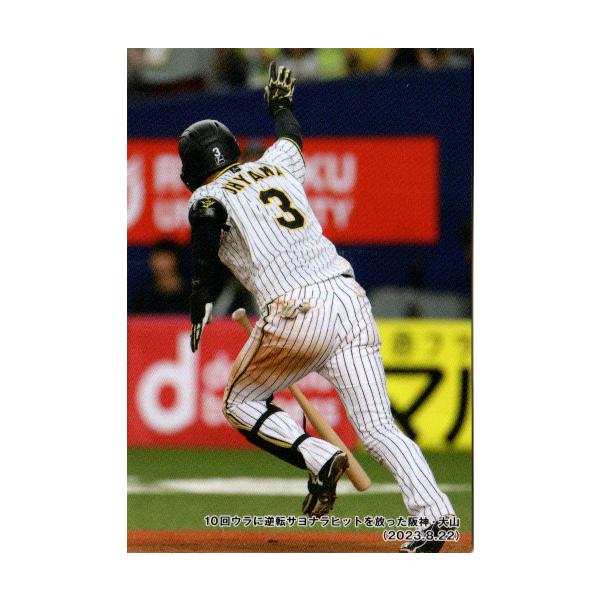 カルビー 2024 プロ野球チップス 確認用 2024カルビープロ野球チップスカード チェックリストカードC-12