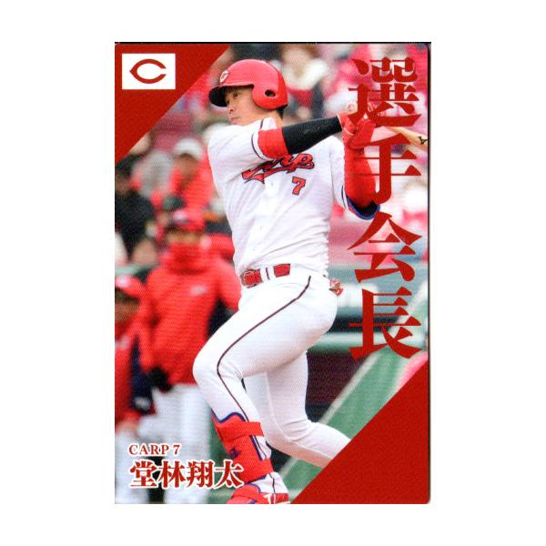 プロ野球選手カード cardya2_zc2024-pl-02