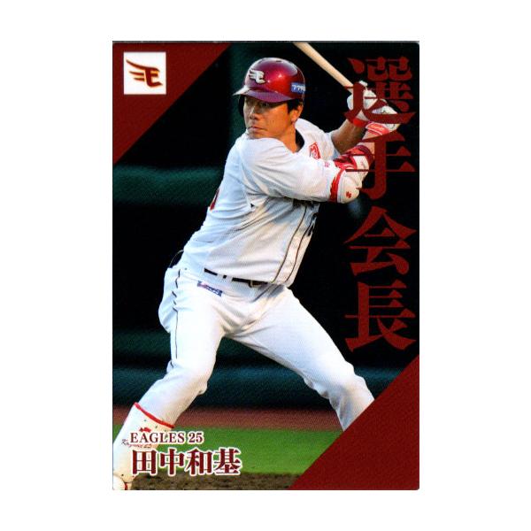 cardya2_zc2024-pl-10