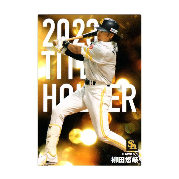 カルビー　プロ野球チップス　24 cardya2_zc2024-t-16