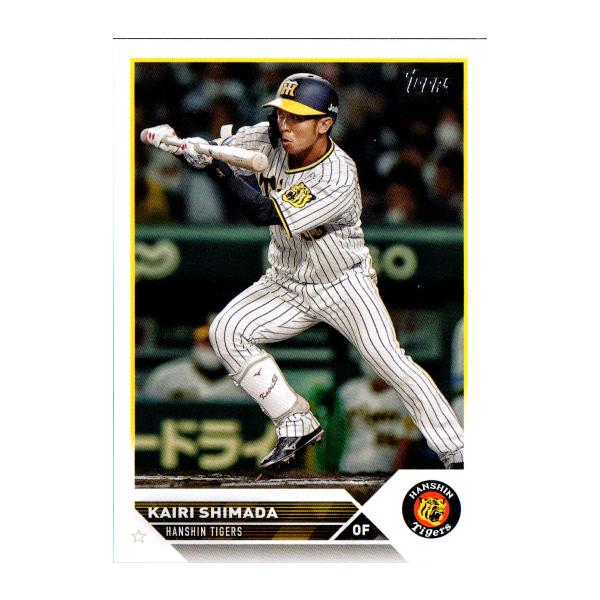 プロ野球ガード 03121605_65effea245b58.jpg