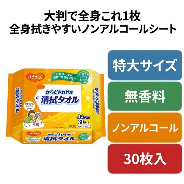 からだ拭きシート やわらかぬれタオル 体拭きシート 防災グッズ 水なしタオル 介護 からださわやか清拭タオル 30枚入 大判 爆買