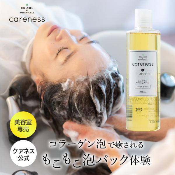 公式 ケアネス シャンプー 美容室専売 300ml 小ボトル サロン ダメージ