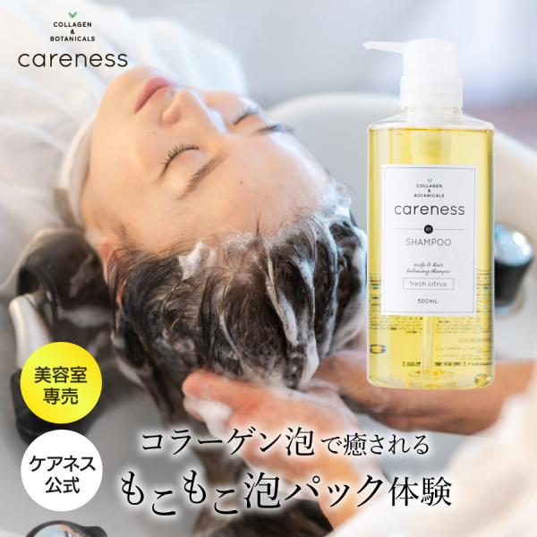 careness テラケア　シャンプー&トリートメント Amazon | テラケア シャンプー 500ml | ケアネス | シャンプー 通販