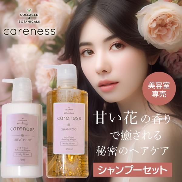 公式 ケアネス careness 美容室専売 シャンプー トリートメント 大