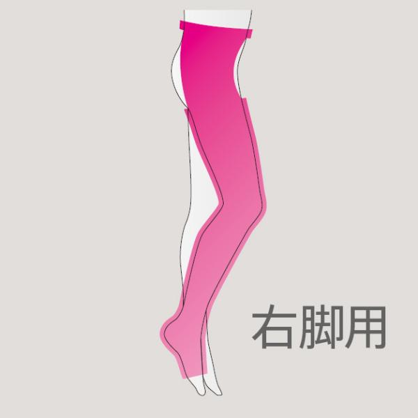 まとめ買いのお客様用　メディプラス　弾性ストッキング　右脚　L ✖️2足セット メディプラス 片脚ストッキング 右脚用 : けあねっと ヤフー店