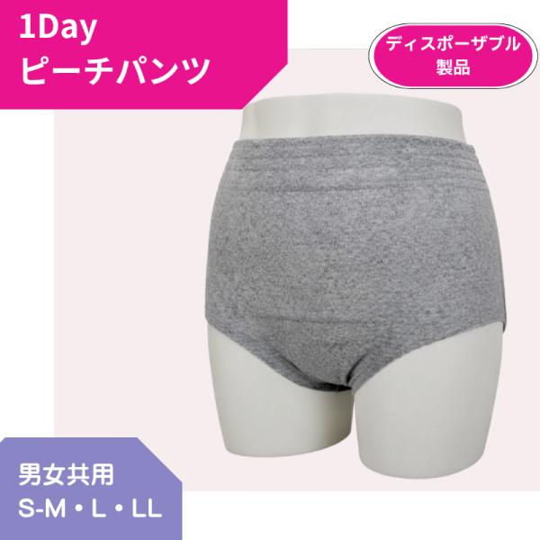 ピーチパンツ 5枚入 グレー 男女兼用 使い捨てショーツ ブリーフ 紙パンツ 軽失禁 ストーマ対応 災害 入院 旅行