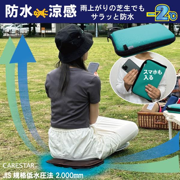 接触冷感 ミニクッション 通気性 メッシュ 極小 折りたたみ マット アウトドア オフィス 旅行 ファスナー付 軽量 カナロア CARESTAR