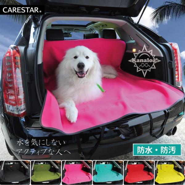 V[gJo[ h sN 㕔 ybg CR ėp y ʎ JiA 􂦂 hbO J[ V[g Jo[  p[cCARESTAR