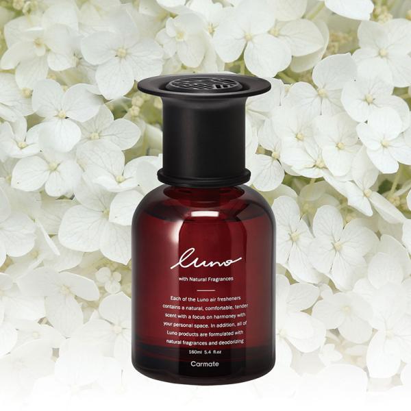  F   t  J[Cg L981 [m Lbh[W zCgXN N. ԗpF e  luno carmate (P07)