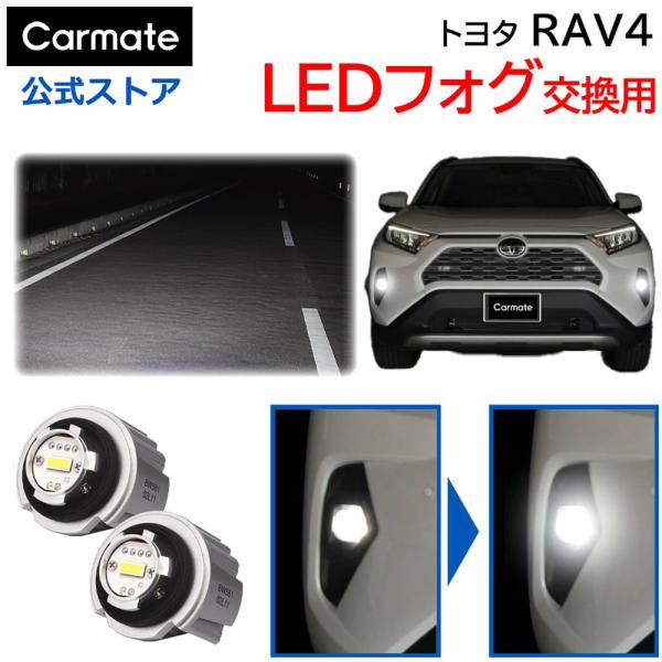 トヨタ RAV4 50 系 フォグランプ 純正LED フォグバルブ 交換用 カーメイト 6000K 2800lm AXAH5# / MXAA5# / AXAP5