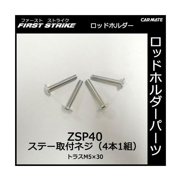 J[Cg ZSP40 \tgXlWiM5×30^4{j ނpi bhz_[ p[c Ci carmate (P06)