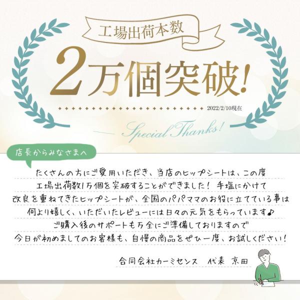 carmisence_hipseatbk_3