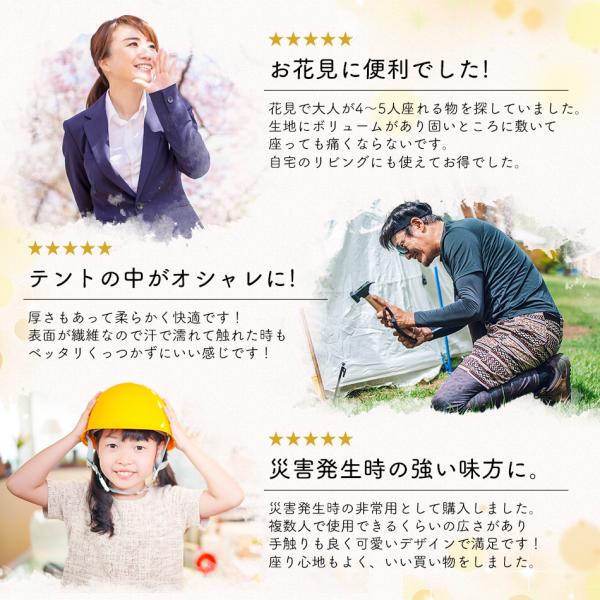 carmisence_picnicseat_3