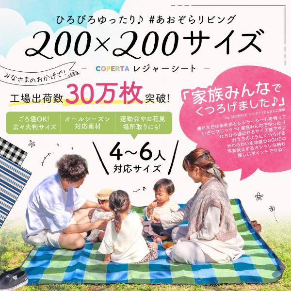 carmisence_picnicseat_4