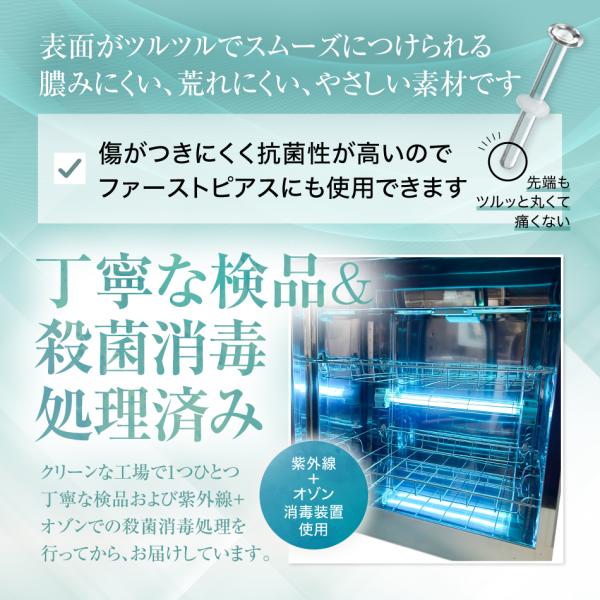 carmisence_pierce_5_d_20241231222820