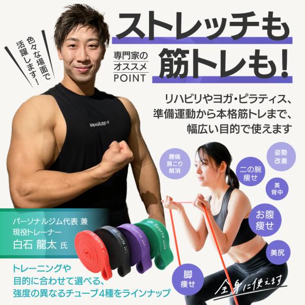 carmisence_tube-all_4_d_20241015170625