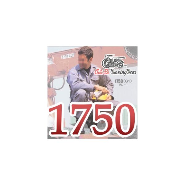 TCYI@I[goC󒷑Ȃ 1750@4L`B3L@yRcCEAUTO-BIEEciMz