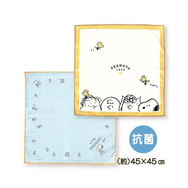 carol-netstore_r11260086