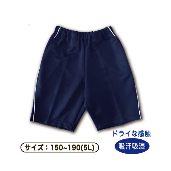carol-netstore_r11300501