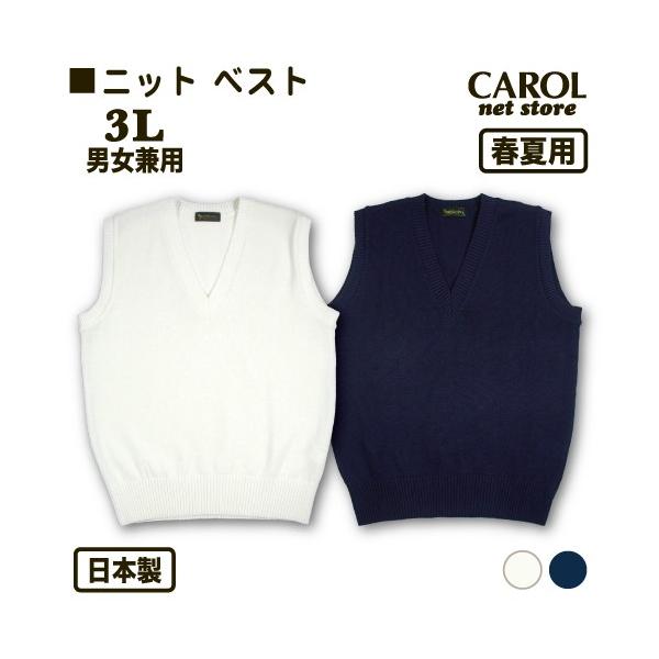 carol-netstore_r11301302