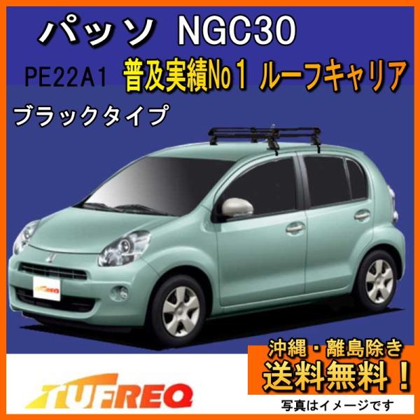精興工業 パッソ NGC30 ルーフキャリア TUFREQ タフレック PE22A1+