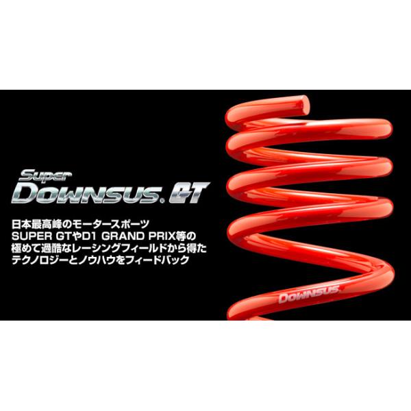 1台分 エスペリア Super DOWNSUS GT ダイハツ コペン L880K H14/6