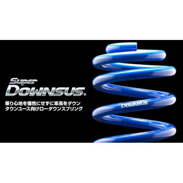 ESPELIR(エスペリア) Super DOWNSUS(スーパーダウンサス) 1台分