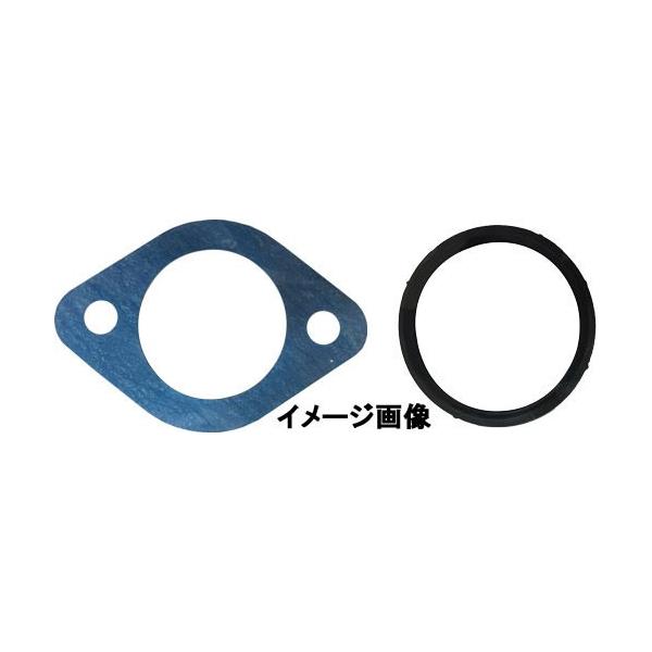 HKT T[X^bgKXPbg P110K