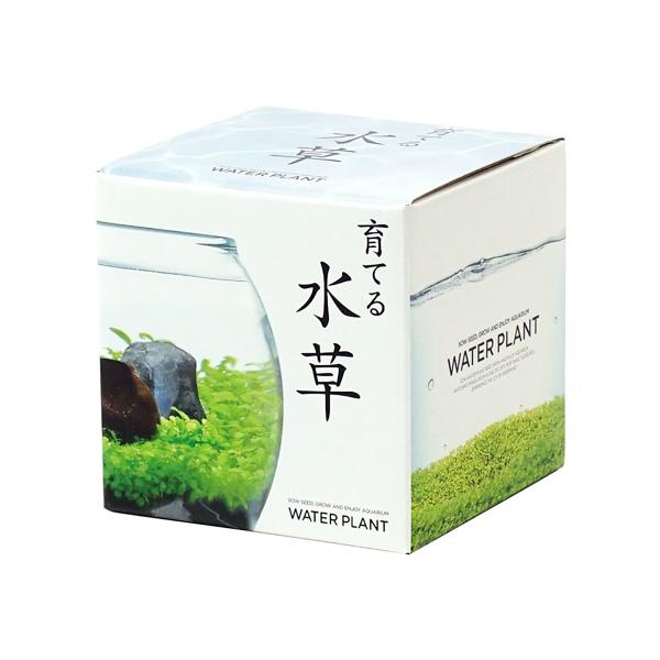 SEISHIN ͔|Zbg 킩 Ă鐅 STCY GD-812