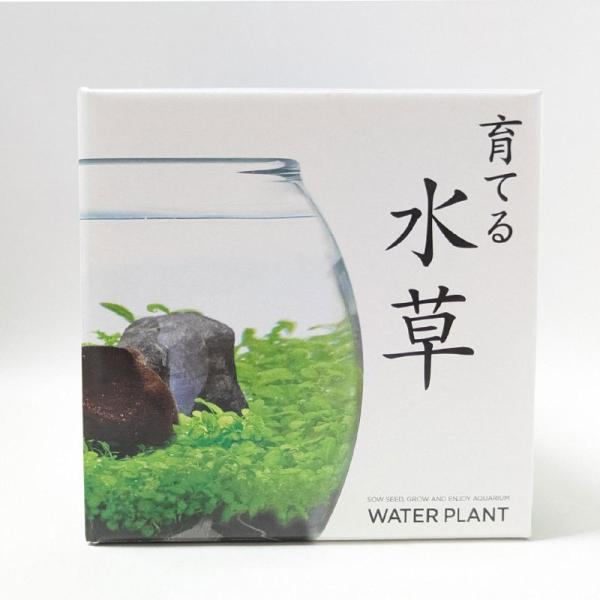 育てる水草S : CarParts TSC - 通販 - Yahoo!ショッピング