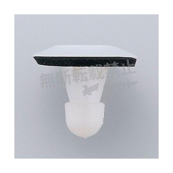 ԗp Nbv 10 gpӏ {fB[TCh[fBOg